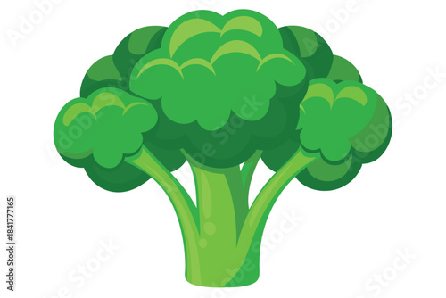 Bright green broccoli head shows fresh, cartoonish appeal in vegetable depictions