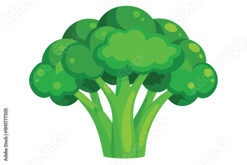 A single vibrant green broccoli head stands prominently with its textured florets and sturdy stalk