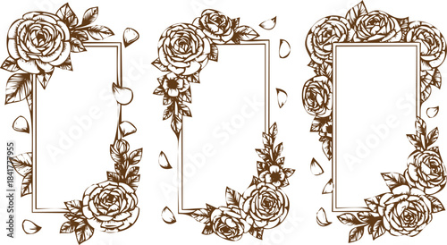 An engraving art style illustration set of three vintage handdrawn rose floral frames or borders with empty rectangular space for text or photos