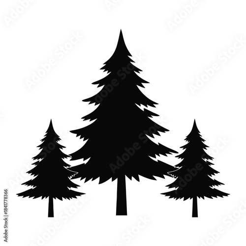 Three conifer trees black silhouette illustration on a plain white background