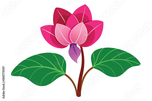 A bright pink water lily is blooming with green leaves around its stem