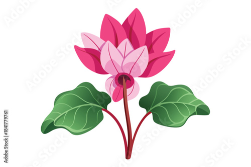 A pink lotus flower blooms gracefully with vibrant leaves on a pristine white background