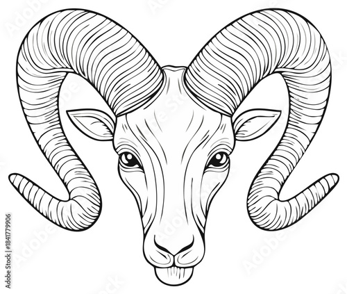 Intricate black and white line art illustration of a powerful ram's head featuring large, majestic curled horns.