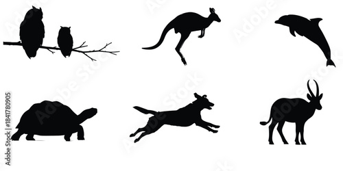 Silhouette collection of australian animals including kangaroos emus and wallabies