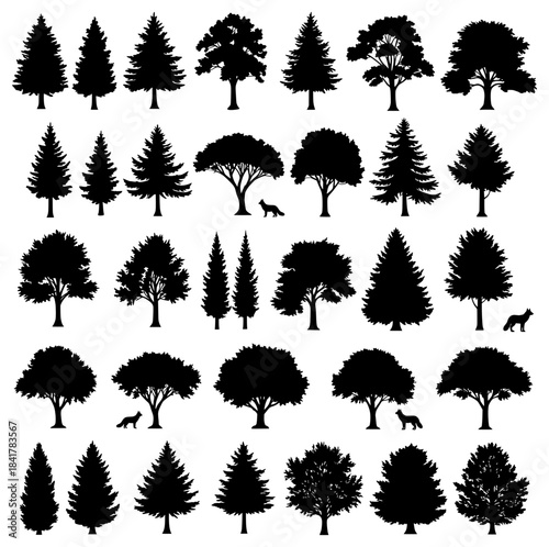 Forest trees. Tree, forests composition and isolated trees vector silhouettes set. Forest trees. Foresting botanical woodland or park tree trunk signs. Transparent SVG version.