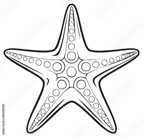 Isolated starfish icon line art with circles showing its skeletal structure on white