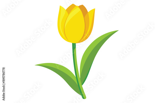 A vibrant yellow tulip with verdant leaves gracefully stands on a pristine white backdrop