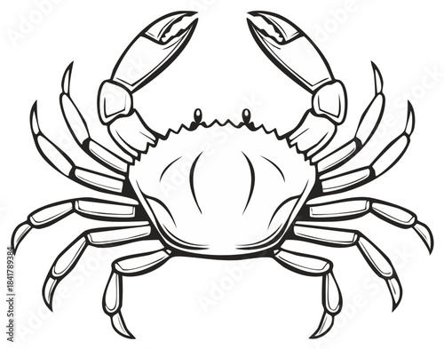 Detailed Line Art Illustration of a Crab with Claws and Legs for Coloring or Design