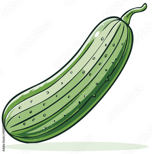 Fresh green cucumber vegetable cartoon style vector illustration