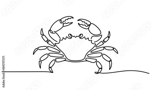 Simple Line Drawing of a Crab on Transparent Background