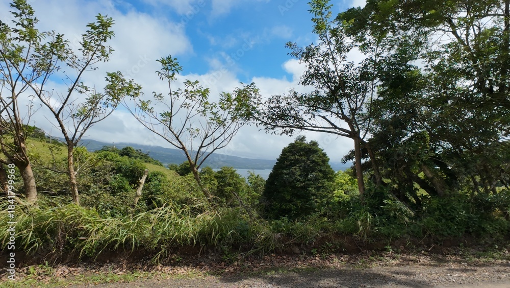 Fototapeta premium Idyllic Palm-Lined Beach in Costa Rica