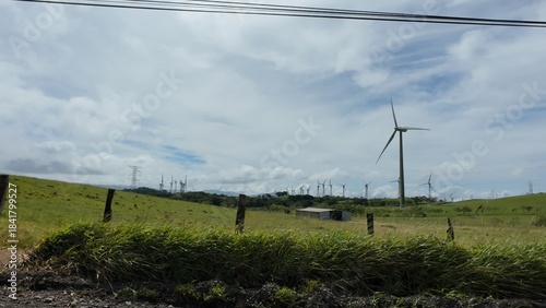 Idyllic Palm-Lined Beach in Costa Rica