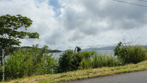 Idyllic Palm-Lined Beach in Costa Rica