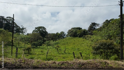 Idyllic Palm-Lined Beach in Costa Rica