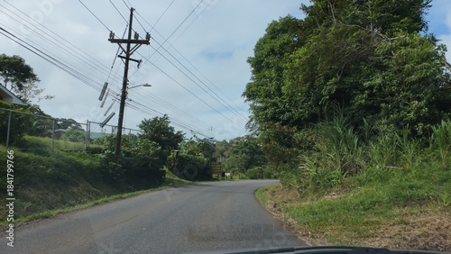 Idyllic Palm-Lined Beach in Costa Rica