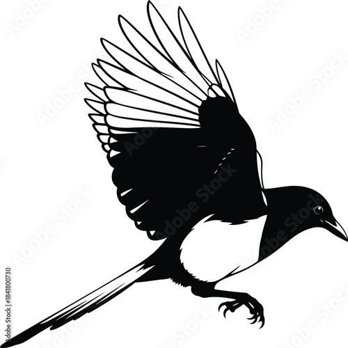 Flying Bird Detailed Nature Vector Illustration