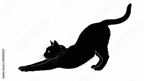 Black cat stretching silhouette, front view