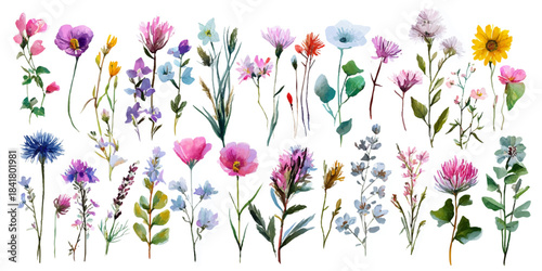 A vibrant collection of delicate wildflowers and delicate greenery in a loose watercolor style