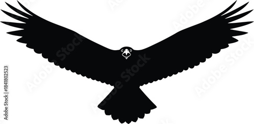 Eagle silhouette soaring bird wings spread vector illustration