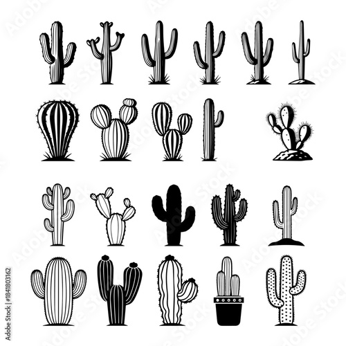Cactus desert silhouettes set, large pack of vector silhouette design