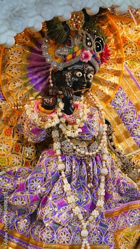 Lord krishna, Shri Radha Sneh Bihari Ji Idol