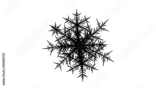 Intricate black snowflake with delicate patterns