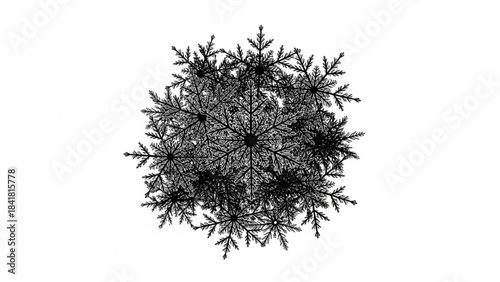 Intricate black fractal design with geometric patterns on