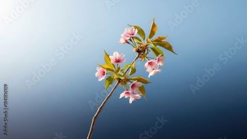 A delicate branch with pink flowers and green leaves against a gradient blue background
