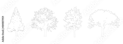 Minimalist CAD Tree Elevation Vector Set for Architecture