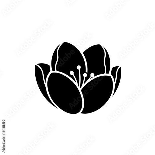Black and white vector illustration of a spring flower, floral nature design element