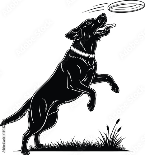 Dog Leaping to Catch Frisbee Outdoor Pet Action Vector Illustration
