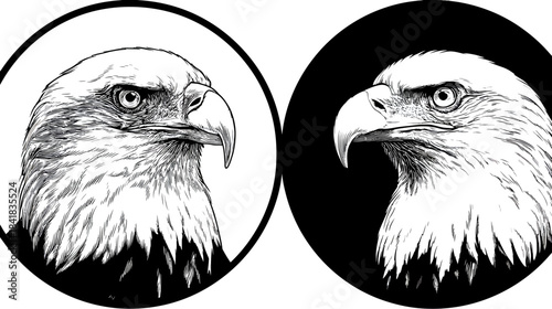 Detailed black and white eagle head illustration. Two versions: one on white, one inverted on black. Majestic bird of prey line art.