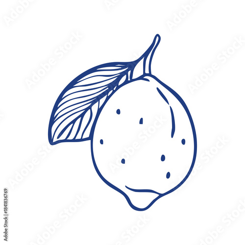 Vector illustration of a lemon in hand-drawn doodle line art style, featuring a simple outline with leaf details.