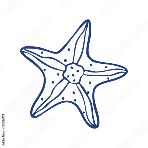 Doodle  Starfish Vector  Simple Outline Illustration