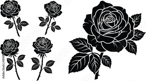 Black rose floral illustration set isolated on white