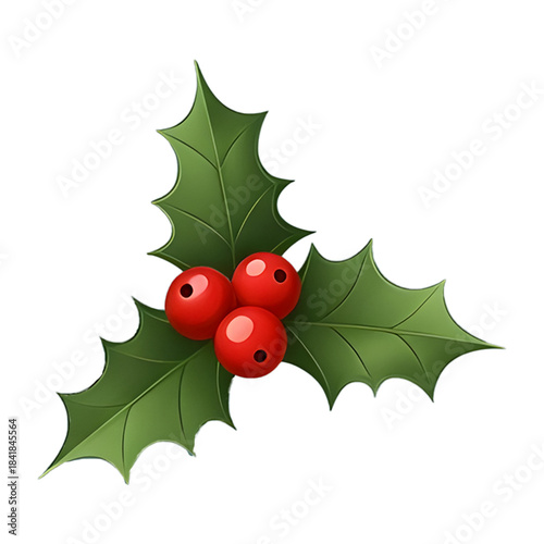 Traditional Christmas Holly Leaves and Red Berries Cluster