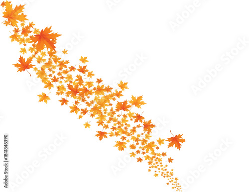 a border of colorful autumn leaves falling, deal frame for nature-themed designs or as part of your festive season graphics. Vectors eps