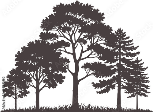 Black tree silhouettes on white background with varying shapes and heights
