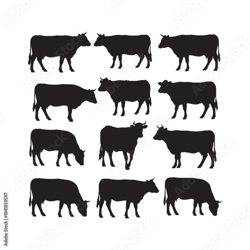 Cow Silhouettes Collection,Cows Silhouettes,Vector Cow Silhouettes,Farm Cow Silhouettes,cow vector
