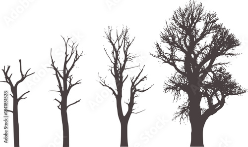 Minimalist black and white silhouette of four leafless trees progression