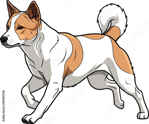 Korean Jindo Dog running energetic movement pose