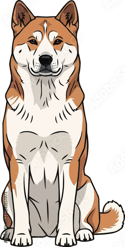 Korean Jindo Dog sitting alert facing front pose illustration