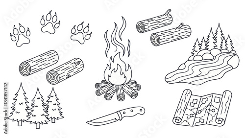 Camping illustration with fire wood map and other survival elements