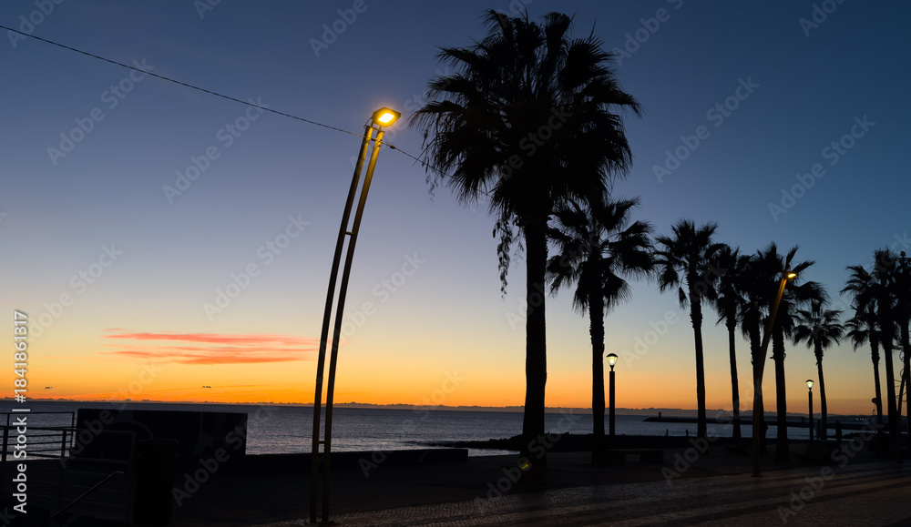 Naklejka premium beautiful alley with palm trees aerial view, pedestrian street at sunset view, promenade at exotic tropical resort