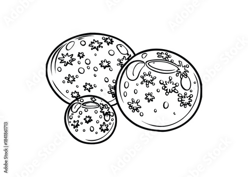 Silhouette of frozen soap bubbles isolated on a white background