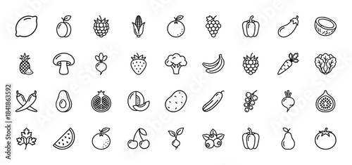 Fruits and vegetables line icon set. Vector pictograms of lemon, corn, grapes, broccoli, banana, carrot, avocado, melon, potato and tomato, thin outline illustration.