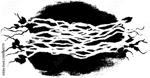 Chaotic mesh stencil art - black and white abstract design for urban decor