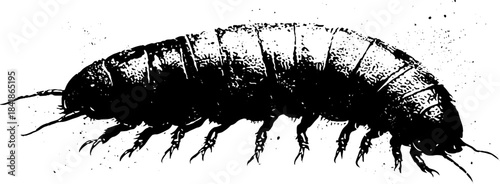 Black and white stencil of crawling insect for urban art design