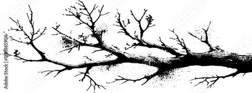 Black and white stencil illustration of a fallen twig concept for nature-inspired designs