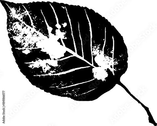 Black and white stencil art of a folded leaf segment for nature-inspired designs